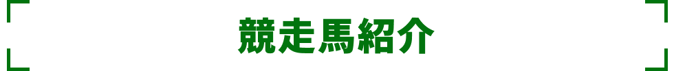 競走馬紹介